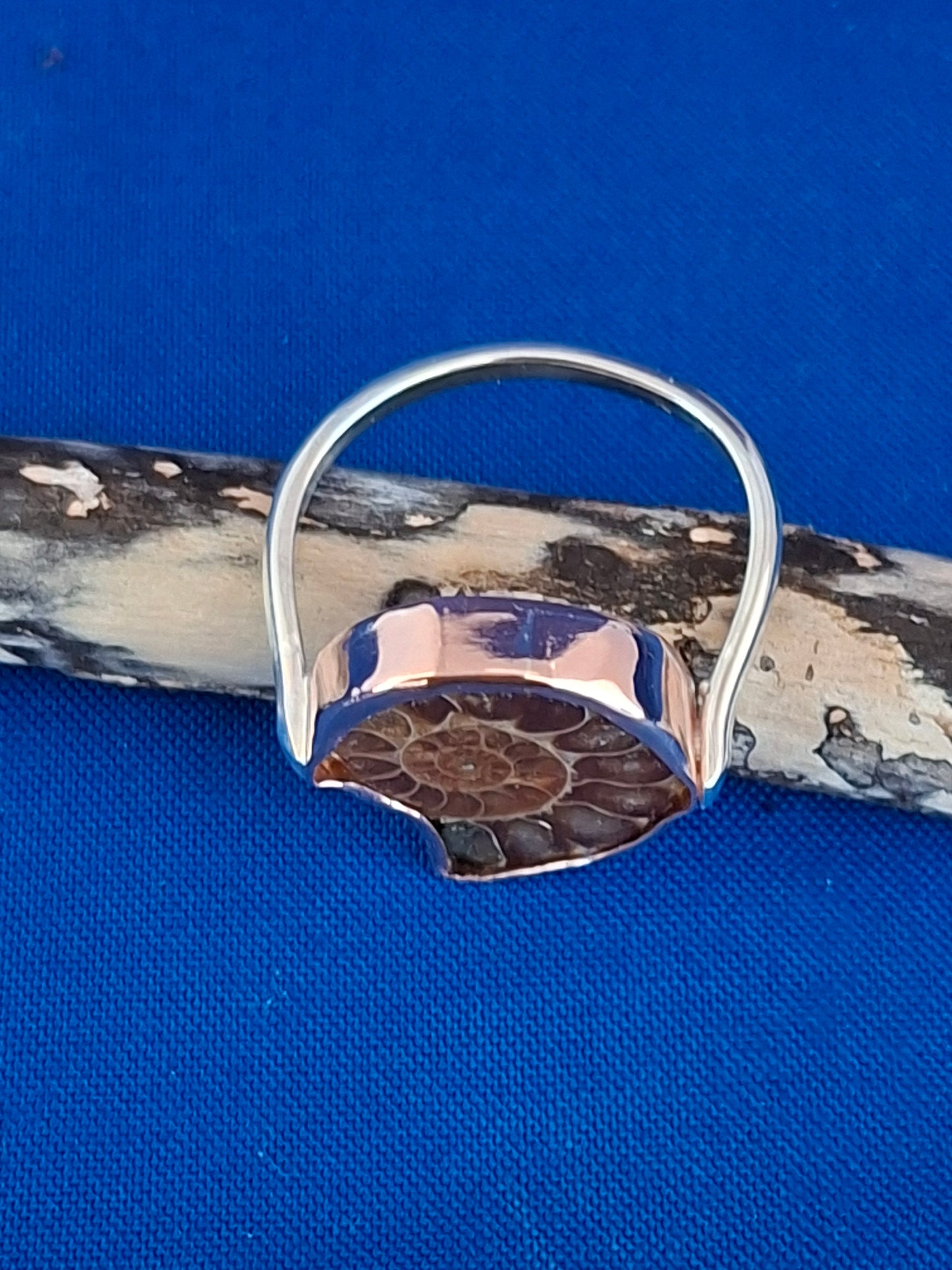 Silver Ring with Ammonite Fossil Handset in Copper