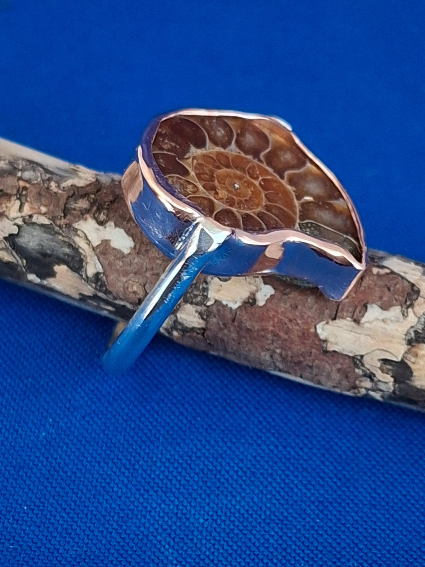 Silver Ring with Ammonite Fossil Handset in Copper