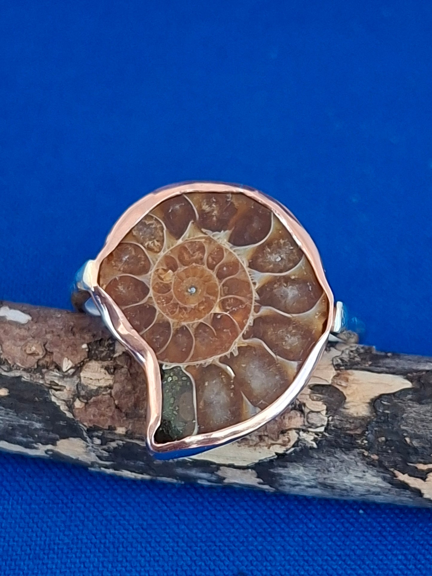 Silver Ring with Ammonite Fossil Handset in Copper