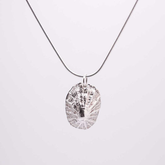 Limpet Shell Pendant